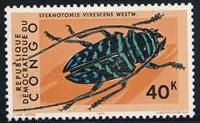 Skap-congo-dem_03_beetles_703-12.jpg-crop-200x123at412-427.jpg