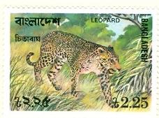 WSA-Bangladesh-Postage-1977-2.jpg-crop-228x169at419-827.jpg