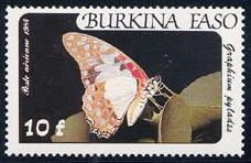 Skap-burkina-faso_09_bflies_c305-08.jpg-crop-228x148at7-7.jpg