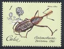 Skap-cuba_14_beetles_2299-2304.jpg-crop-210x162at6-51.jpg