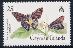 Skap-cayman-is_05_bfly_590-3.jpg-crop-290x194at306-8.jpg