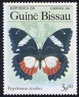 Skap-guinea_bissau_01_bflies.jpg-crop-162x200at82-1.jpg