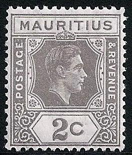 STS-Mauritius-4-300dpi.jpeg-crop-263x309at1565-2414.jpg