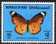 Skap-iraq_06_bflies.jpg-crop-187x148at191-2.jpg