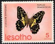 Skap-lesotho_01_bfly.jpg-crop-187x150at278-7.jpg