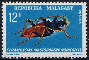 Skap-malagasy_04_ins.jpg-crop-283x192at8-205.jpg