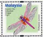 Skap-malaysia_16_dfly.jpg-crop-144x123at328-56.jpg