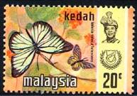 Skap-malaysia_54_bfly.jpg-crop-193x135at601-138.jpg