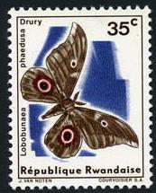 Skap-rwanda_02_bfly.jpg-crop-173x215at5-267.jpg