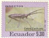 WSA-Ecuador-Postage-1993-1.jpg-crop-164x127at157-406.jpg