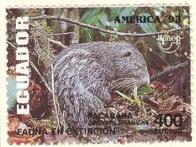 WSA-Ecuador-Postage-1993-2.jpg-crop-196x147at328-563.jpg