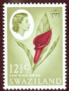 WSA-Swaziland-Postage-1962.jpg-crop-144x189at219-630.jpg