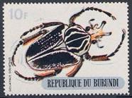 Skap-burundi_03_beetles-silver-bottom_312-321.jpg-crop-186x139at208-171.jpg