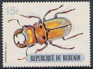 Skap-burundi_03_beetles-silver-bottom_312-321.jpg-crop-188x139at401-169.jpg