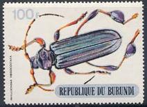 Skap-burundi_03_beetles-silver-bottom_312-321.jpg-crop-212x154at86-478.jpg