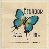 ARC-ecuador42.jpg-crop-160x159at31-466.jpg