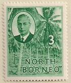 ARC-nborneo13.jpg-crop-141x165at234-60.jpg