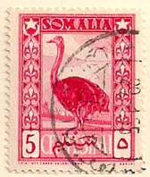 ARC-somalia01.jpg-crop-168x198at233-128.jpg