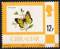 Skap-gibraltar_01_bfly.jpg-crop-194x159at401-9.jpg