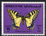 Skap-iraq_06_bflies.jpg-crop-190x148at5-2.jpg