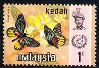 Skap-malaysia_54_bfly.jpg-crop-194x134at102-3.jpg