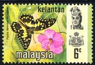 Skap-malaysia_57_bfly.jpg-crop-193x133at5-135.jpg