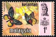 Skap-malaysia_57_bfly.jpg-crop-195x131at97-3.jpg