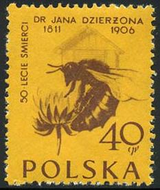 Skap-poland_01_bees.jpg-crop-233x276at4-4.jpg