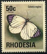 Skap-rhodesia_01_bfly.jpg-crop-192x221at401-4.jpg