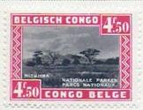 ARC-bcongo08.jpg-crop-162x125at463-241.jpg