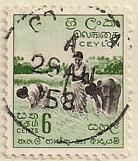 ARC-ceylon17.jpg-crop-138x161at541-527.jpg