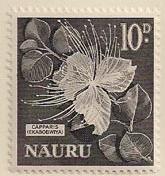 ARC-nauru03.jpg-crop-165x176at248-879.jpg