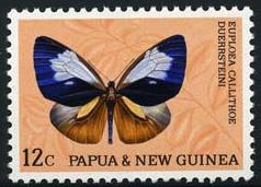 Skap-png_02_bfly.jpg-crop-238x171at258-251.jpg