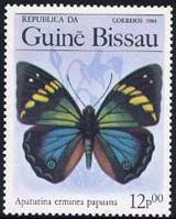 Skap-guinea_bissau_01_bflies.jpg-crop-160x199at7-199.jpg