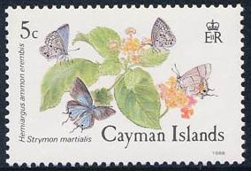 Skap-cayman-is_05_bfly_590-3.jpg-crop-284x193at6-6.jpg