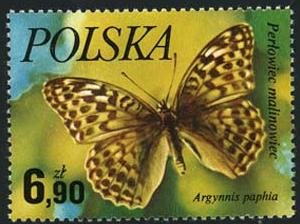 Skap-poland_13_bfly.jpg-crop-300x224at647-277.jpg