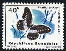 Skap-rwanda_02_bfly.jpg-crop-219x171at183-311.jpg