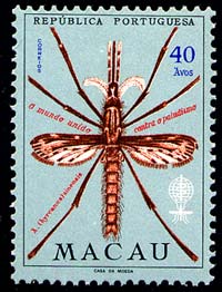 Skap-macao_01_who-mal.jpg