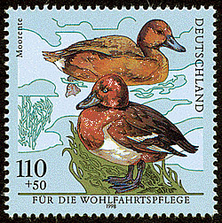 Stamp_Germany_1998_MiNr2017_Wohlfahrt_Moorente.jpg