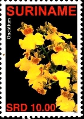 Colnect-4017-073-Oncidium.jpg