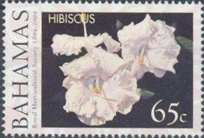 Colnect-4179-126-Hibiscus.jpg