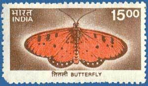 Colnect-548-012-Butterfly.jpg