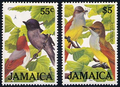 Skap-jamaica_13_bird-bug.jpg