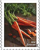 Colnect-6960-144-Carrots.jpg