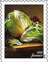 Colnect-6960-148-Lettuce.jpg