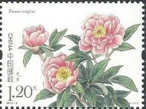 Colnect-5826-154-Peonies.jpg