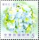 Colnect-5153-517-Hydrangea.jpg