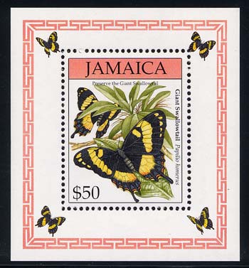 Skap-jamaica_19_bflies-ss.jpg