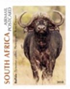 Colnect-5414-221-Cape-Buffalo.jpg