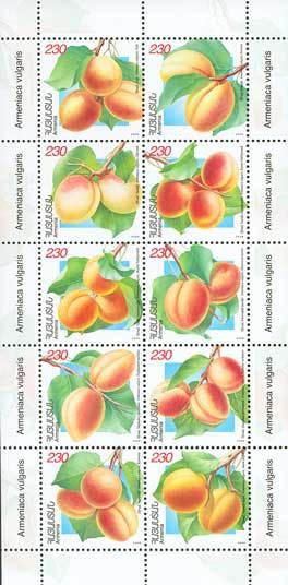 Colnect-787-121-Apricots.jpg